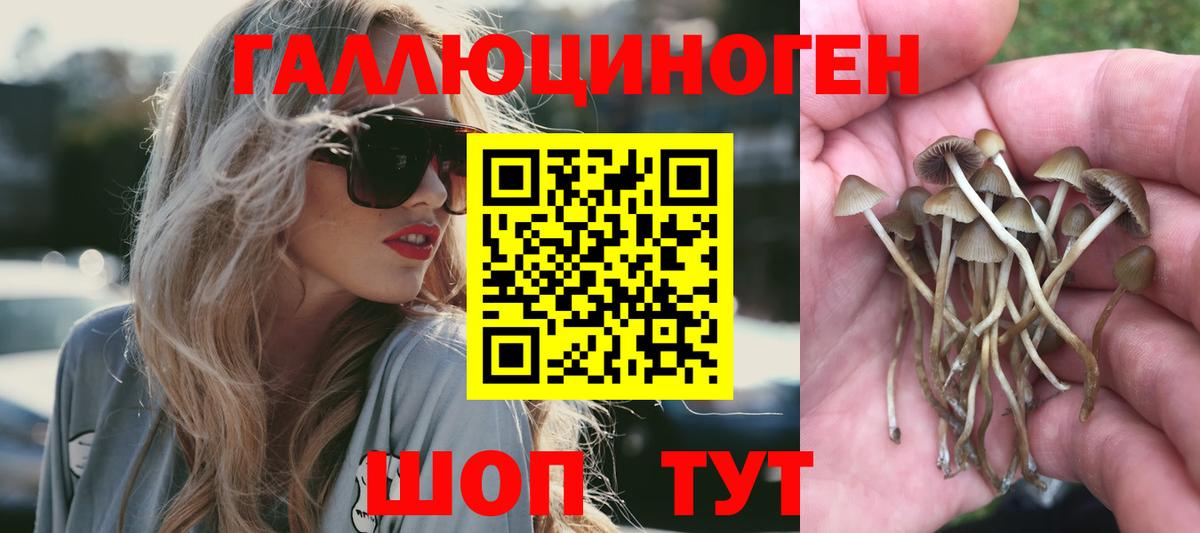Псилоцибиновые грибы Psilocybe  Псилоцибиновые грибы Psilocybe  Кулебаки  Вход с VPN 